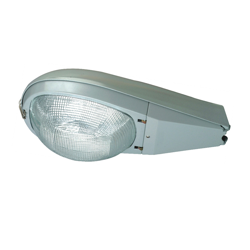 GLD7002 250W 400W metal halide or sodium lamp HID street light Housing supply private mold 2015 high cost performance